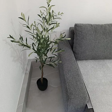 Nest 2 Apartman